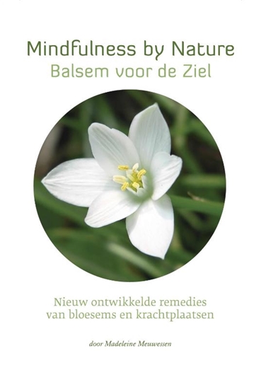 Afbeelding van Star Remedies - Mindfulness by Nature - Balsem voor de Ziel