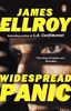 Afbeelding van Widespread Panic
