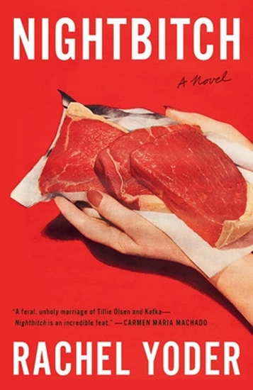 Afbeelding van Nightbitch