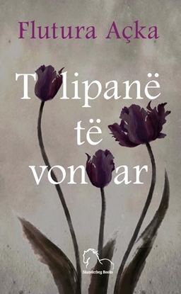 Afbeeldingen van Tulipanë te vonuar