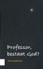 Afbeelding van Professor, bestaat God?