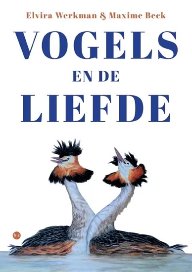 Afbeelding van Vogels en de liefde