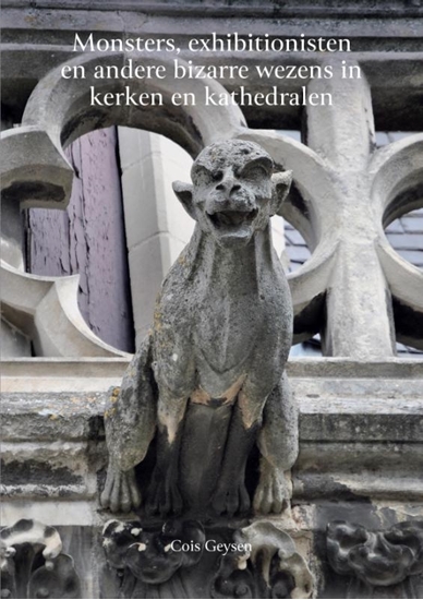 Afbeelding van Monsters, exhibitionisten en andere bizarre wezens in kerken en kathedralen