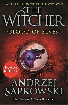 Afbeeldingen van The Witcher Blood of Elves
