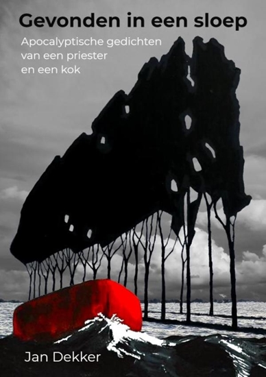 Afbeelding van Gevonden in een sloep
