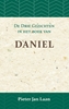 Afbeelding van De Gezichten in het Boek van Daniel