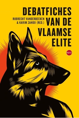 Afbeeldingen van Debatfiches van de Vlaamse elite