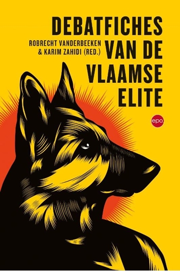Afbeelding van Debatfiches van de Vlaamse elite