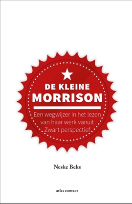 Afbeeldingen van Kleine boekjes - grote inzichten De kleine Morrison