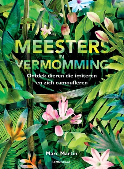 Afbeelding van Meesters in vermomming