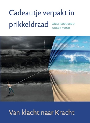 Afbeeldingen van Cadeautje verpakt in prikkeldraad