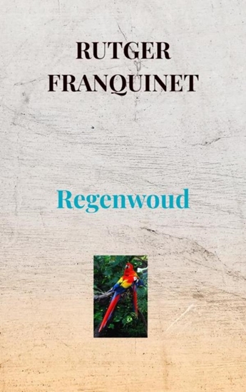 Afbeelding van Regenwoud