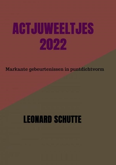 Afbeelding van Actjuweeltjes 2022