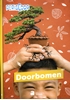 Afbeelding van Periscoop 4e leerjaar: Doorbomen