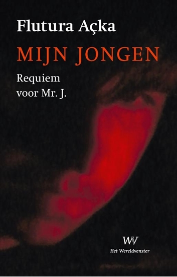 Afbeelding van Mijn jongen