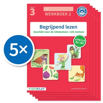 Afbeeldingen van Toetsbaas Begrijpend lezen werkboek 2 (Set van 5)