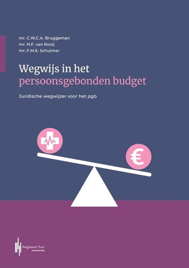 Afbeelding van Wegwijs in het persoonsgebonden budget