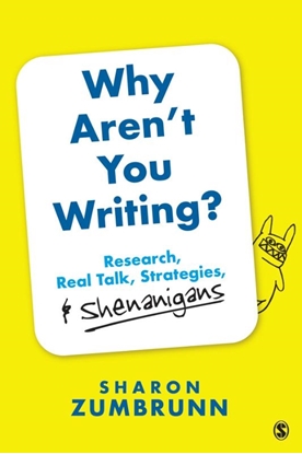 Afbeeldingen van Why Aren't You Writing?: Research, Real Talk, Strategies, & Shenanigans