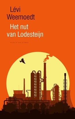 Afbeeldingen van Het nut van Lodesteijn