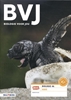 Afbeelding van Biologie voor jou 4A havo