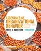 Afbeelding van Essentials of Organizational Behavior - International Student Edition