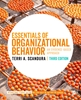 Afbeelding van Essentials of Organizational Behavior - International Student Edition