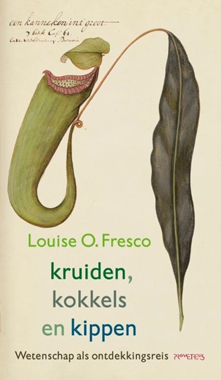 Afbeelding van Essay Maand van de Geschiedenis Kruiden, kokkels en kippen