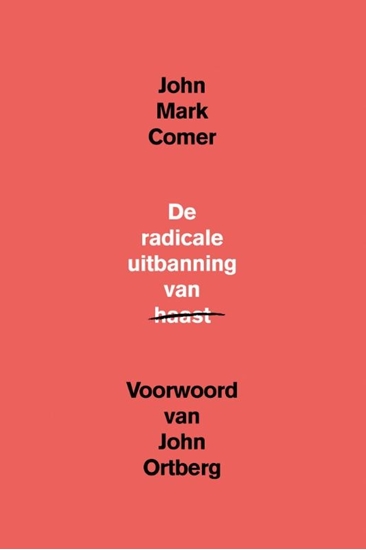 Afbeelding van De radicale uitbanning van haast