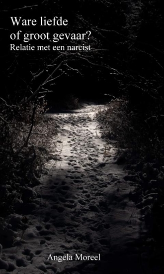 Afbeelding van Ware liefde of groot gevaar?