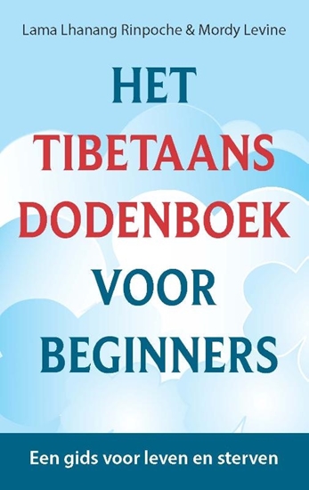 Afbeelding van Het Tibetaans dodenboek voor beginners