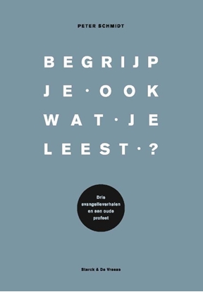Afbeeldingen van Begrijp je ook wat je leest?