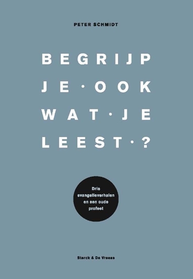 Afbeelding van Begrijp je ook wat je leest?