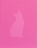 Afbeelding van Felis Silvestris Catus