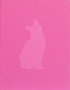 Afbeelding van Felis Silvestris Catus
