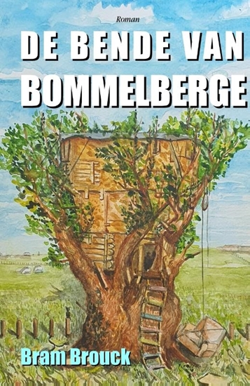 Afbeelding van De bende van Bommelberge