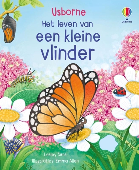 Afbeelding van Een kleine vlinder