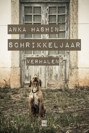Afbeelding van Schrikkeljaar