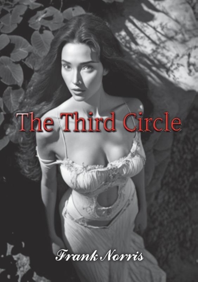 Afbeelding van The Third Circle