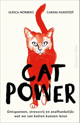 Afbeeldingen van Cat Power