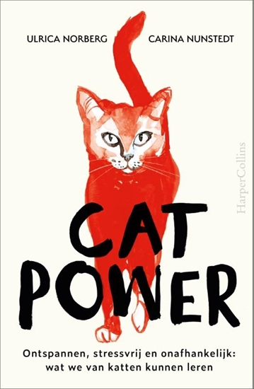 Afbeelding van Cat Power