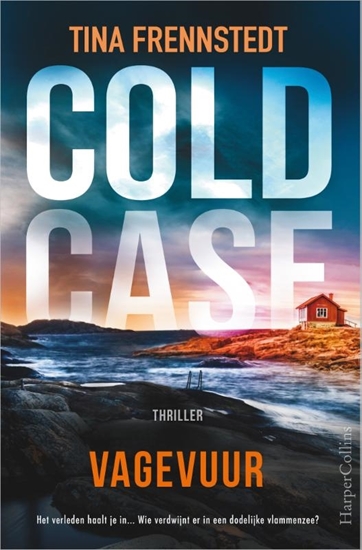 Afbeelding van Cold Case Vagevuur