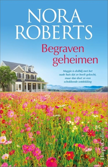 Afbeelding van Begraven geheimen