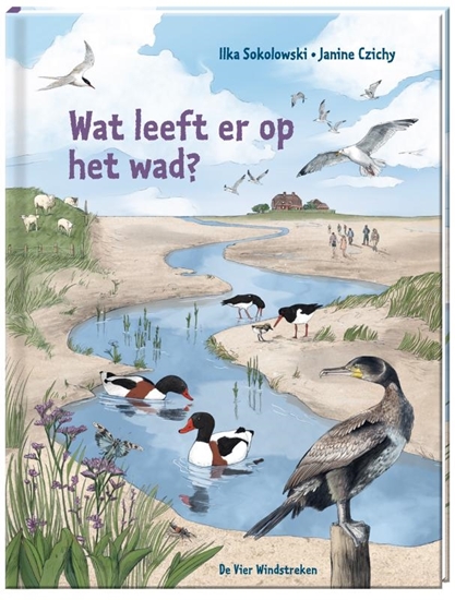 Afbeelding van Wat leeft er op het wad?