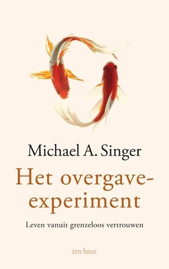Afbeelding van Het overgave-experiment