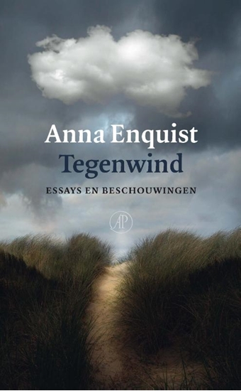 Afbeelding van Tegenwind