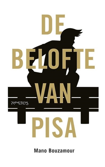 Afbeelding van De belofte van Pisa