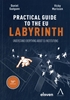 Afbeelding van Practical Guide to the EU Labyrinth