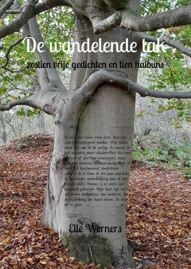 Afbeelding van De wandelende tak