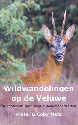 Afbeeldingen van Wildwandelingen op de Veluwe