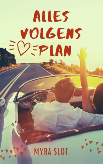 Afbeelding van Alles volgens plan